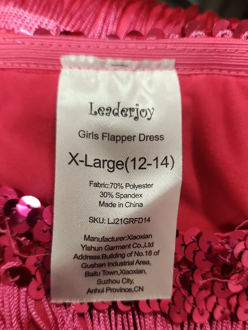 Girls Flapper Dress, Size XL